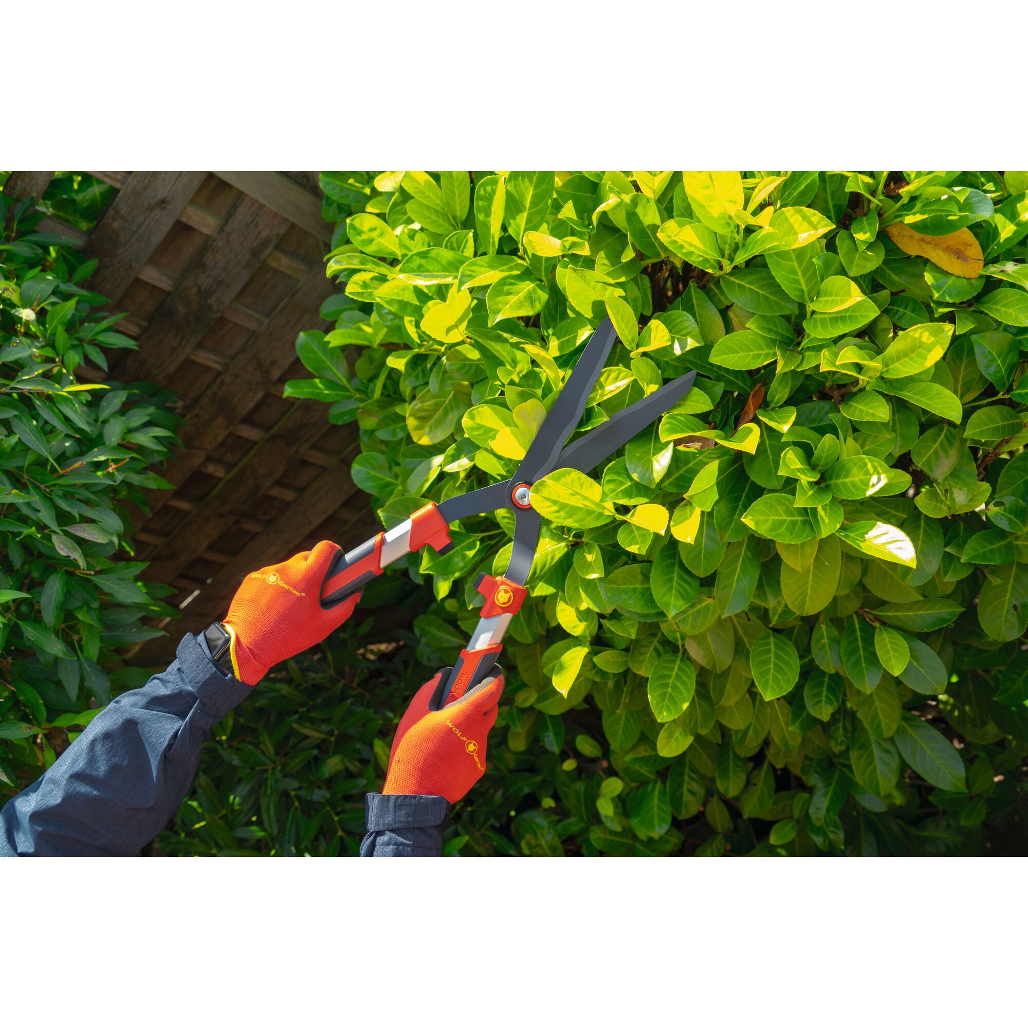 A person wearing orange gloves uses WOLFGarten hedge shears to trim green bushes in a garden.