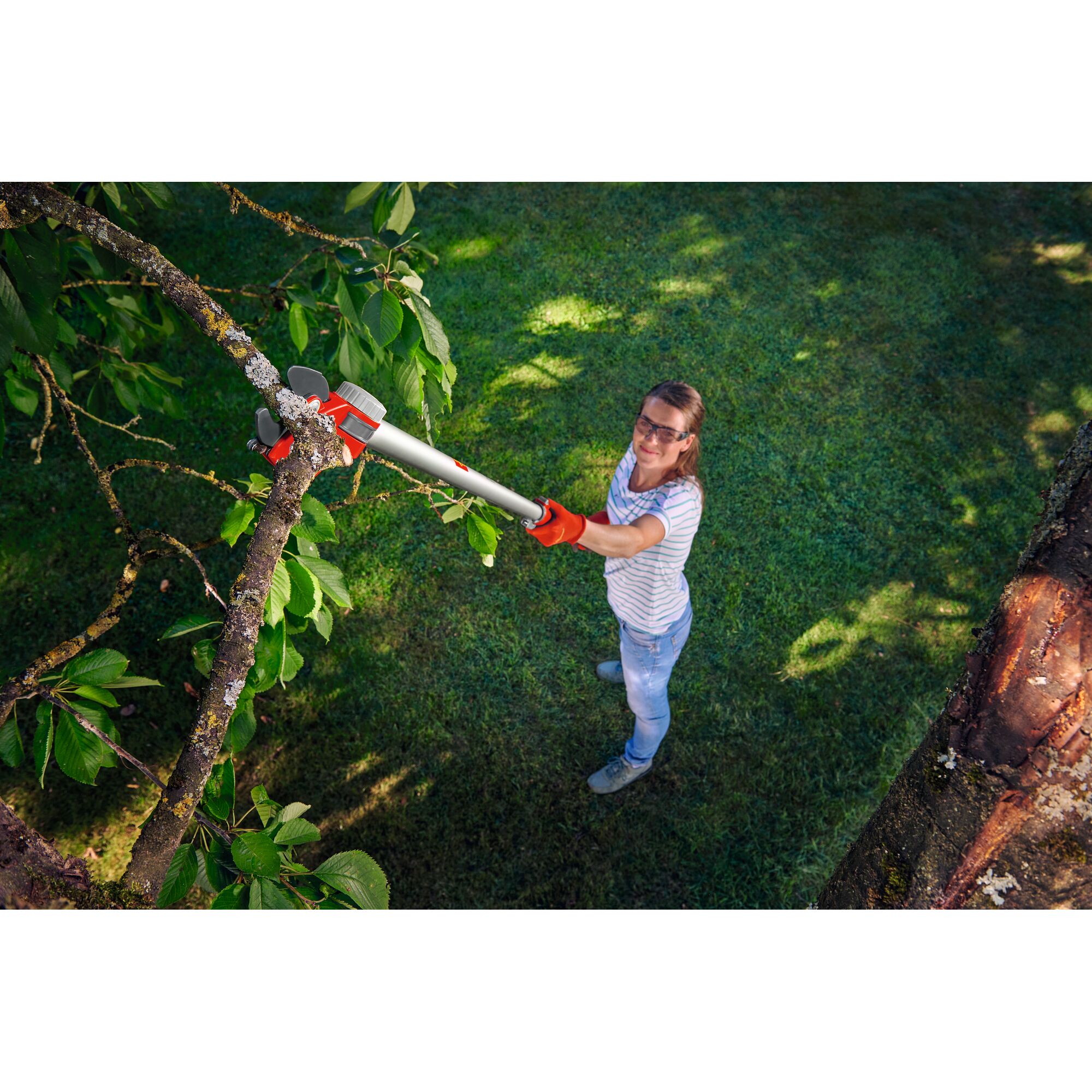 A person using a WOLFGarten telescopic pruning tool to cut a branch from a tree, standing on grass and wearing gardening gloves.