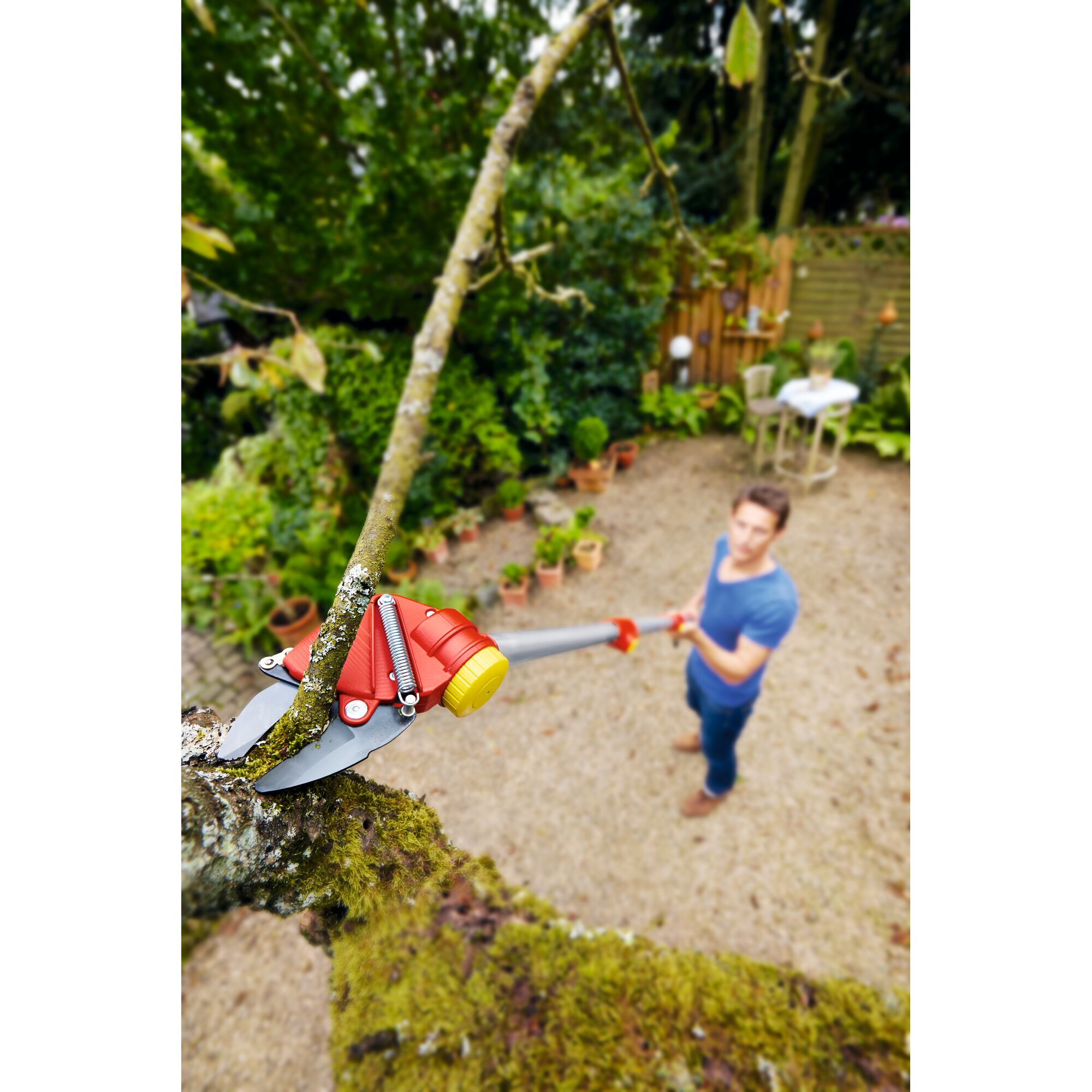 A person uses a WOLFGarten telescopic tree pruner to cut a branch from a tree in a garden. The red and yellow tool is attached to a long pole, with several potted plants visible in the background.