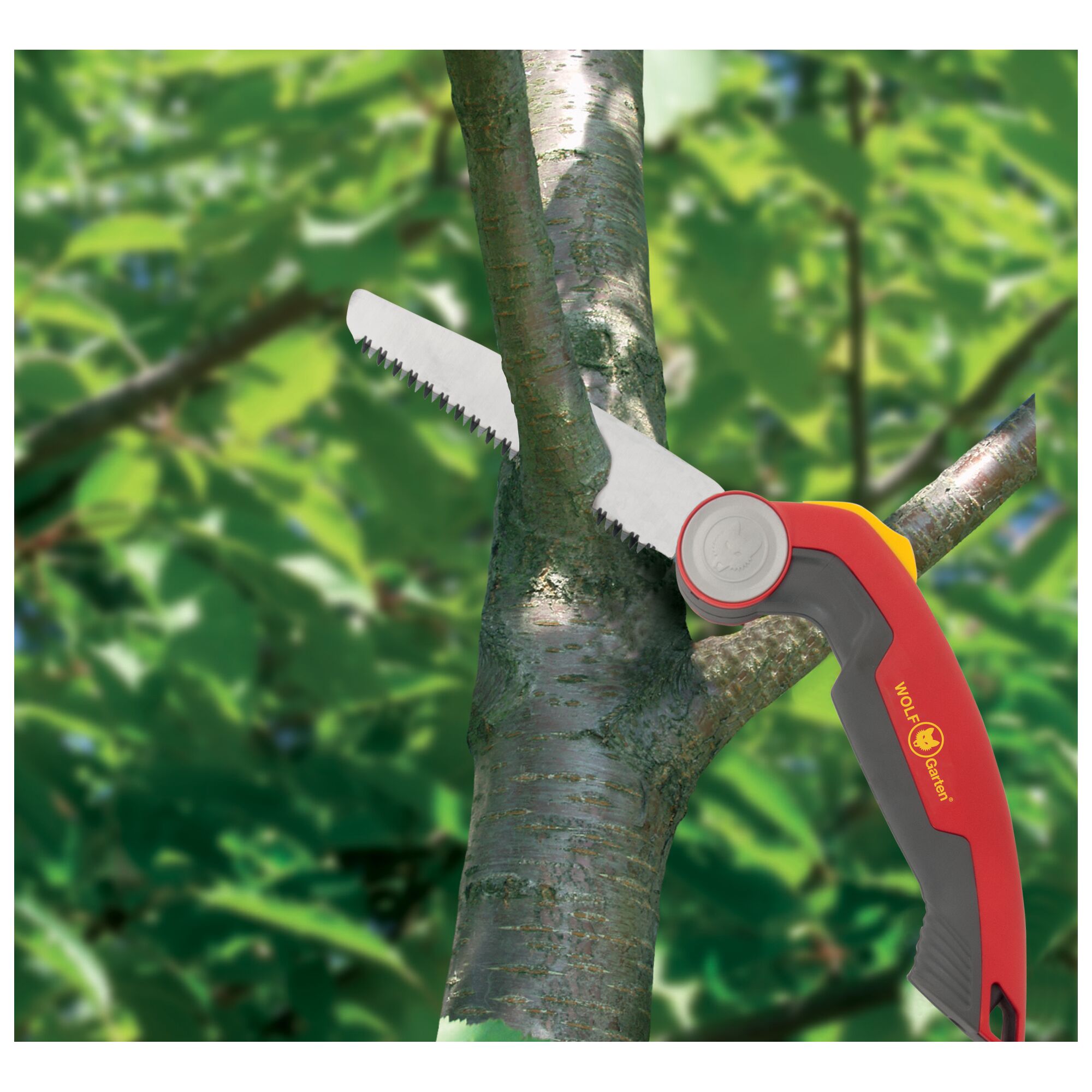 A WOLF-Garten folding saw being used to cut a tree branch outdoors, surrounded by green foliage.