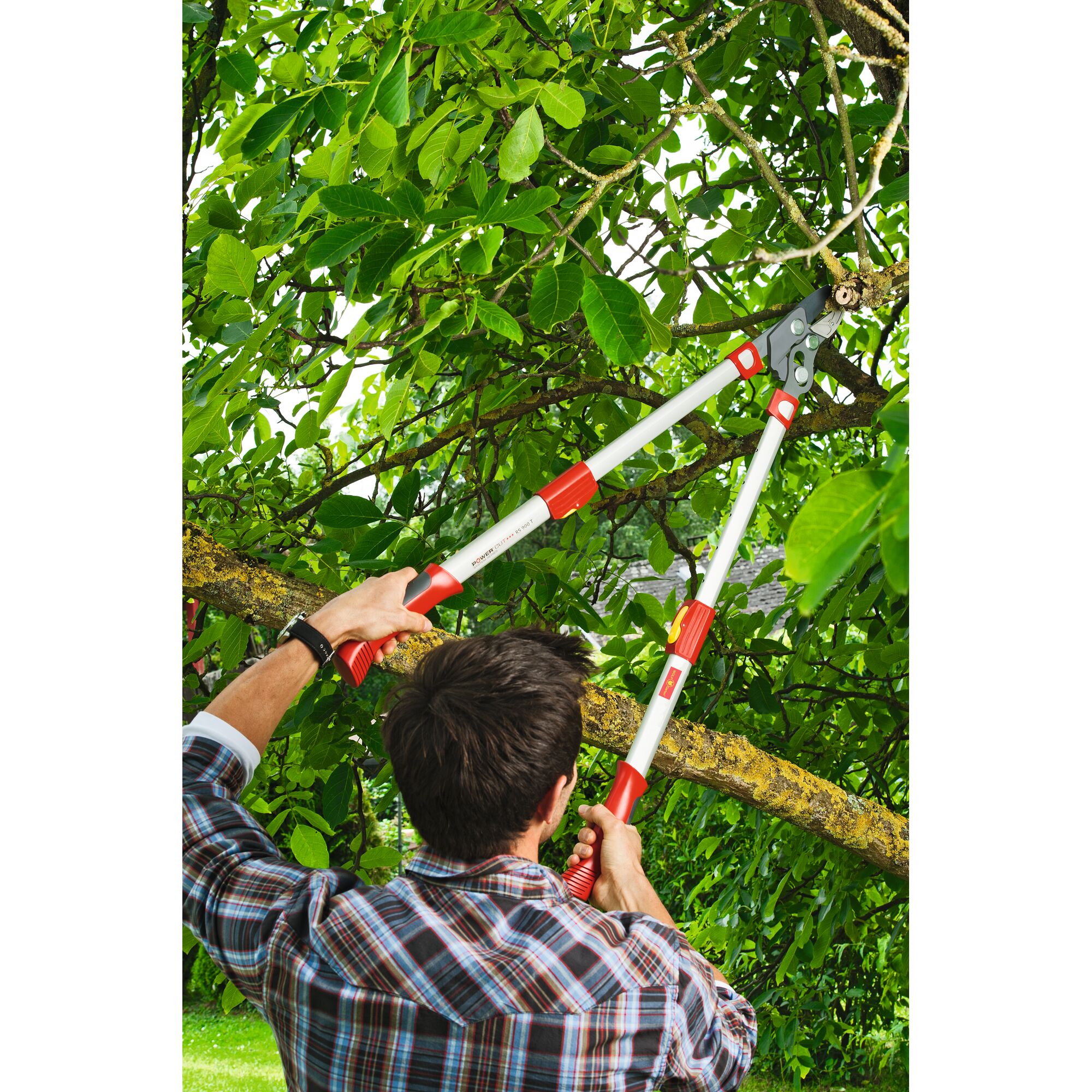 Person using a WOLFGarten telescopic lopper to prune a high tree branch in a leafy garden.