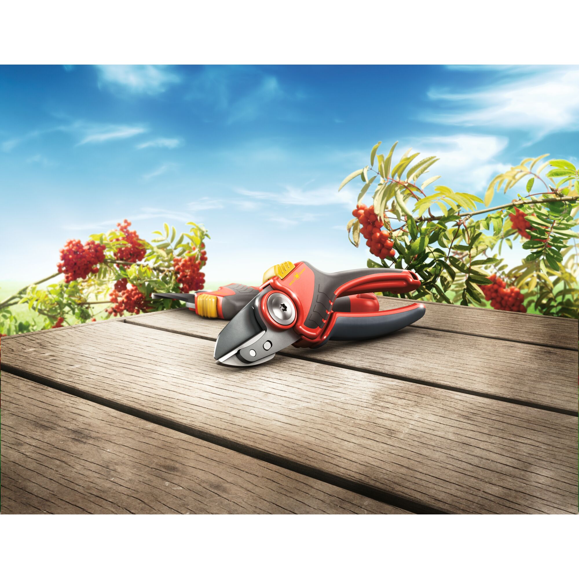 A pair of red and black garden secateurs and a screwdriver are placed on a wooden surface outdoors, with berry bushes and a blue sky in the background.