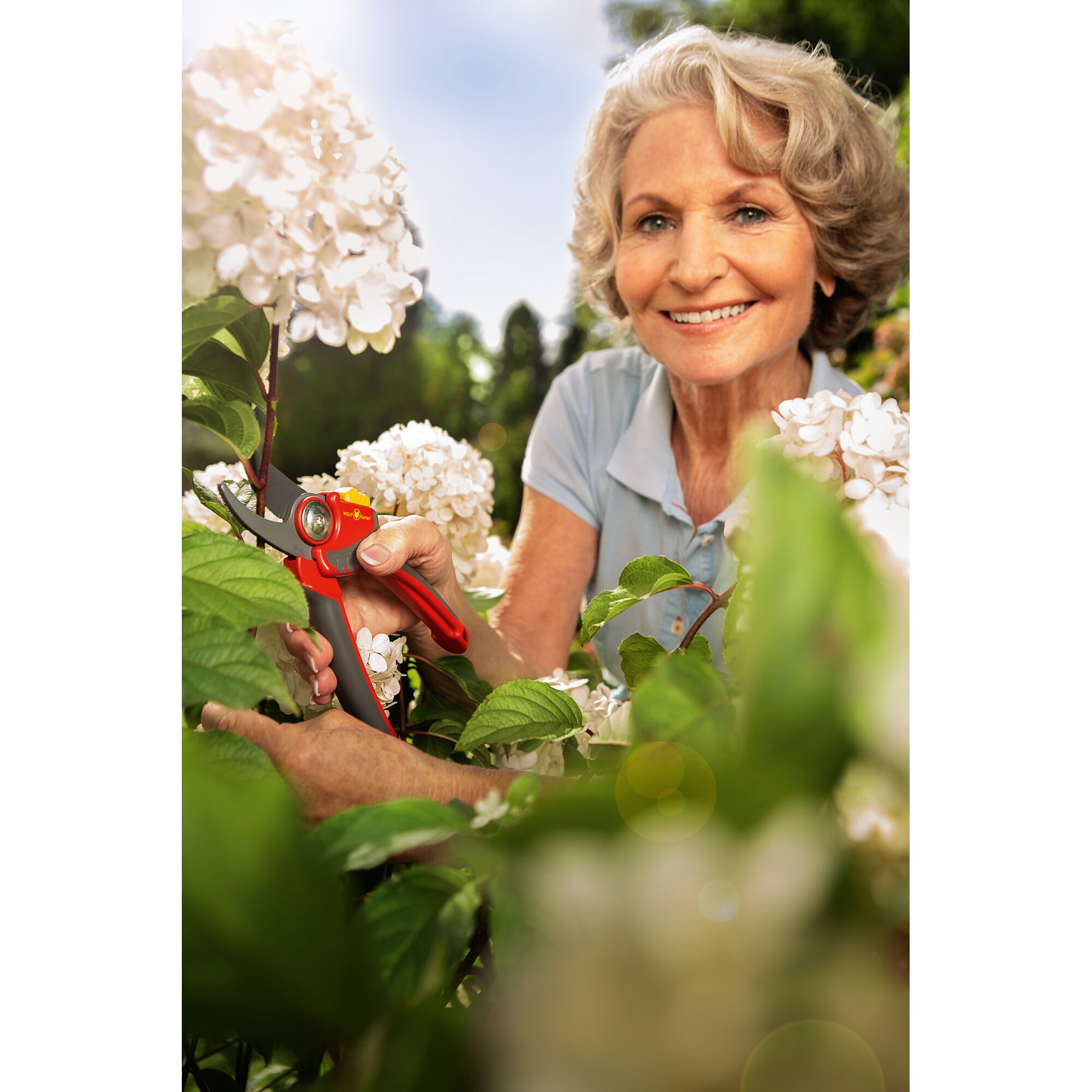 A person is using a red and black WOLFGarten garden pruner to trim white flowering plants outdoors. The person's face is intentionally blurred for privacy.