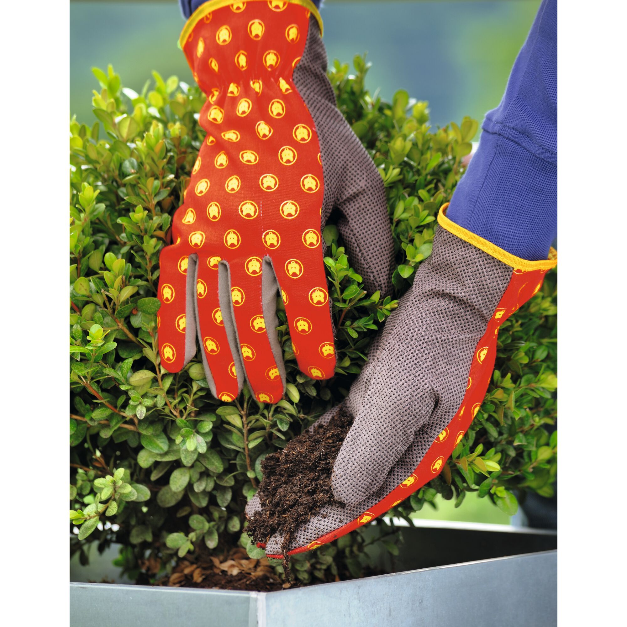 Close-up of hands wearing red and grey gardening gloves with yellow patterns, handling soil near a green shrub in a metal planter.