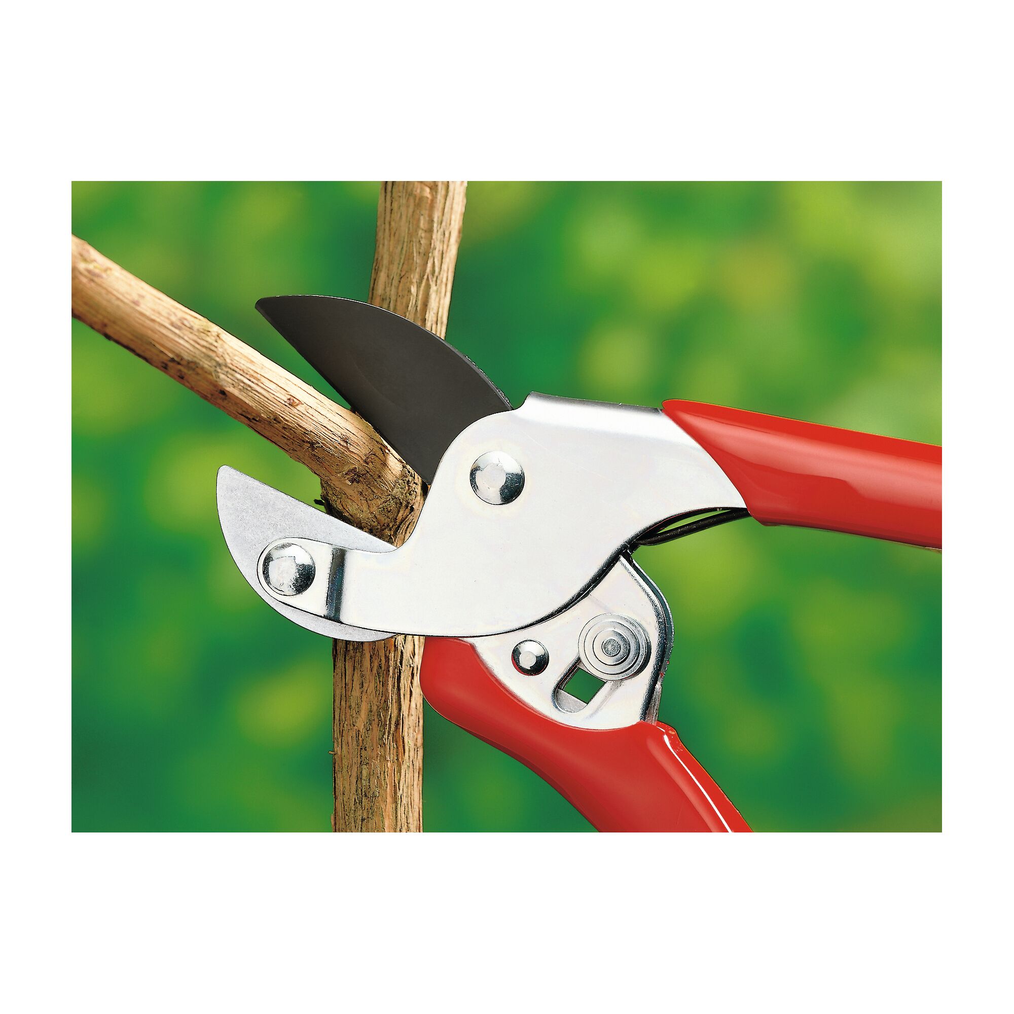 RS-EN – ANVIL GARDEN SHEAR